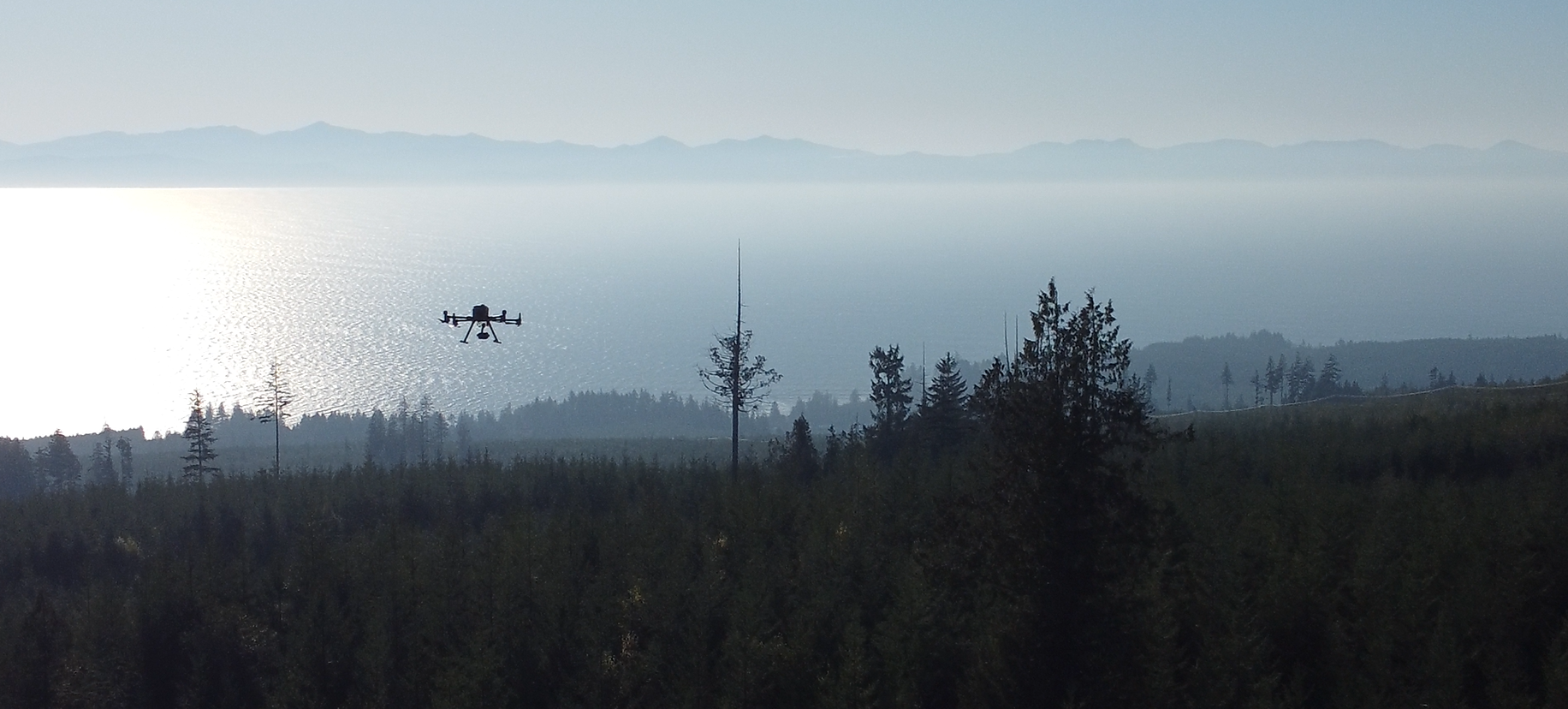 DJI Matrice 300 RTK in flight over one of our Vancouver Island field sites, taken by Alex Liu with a Mavic3.