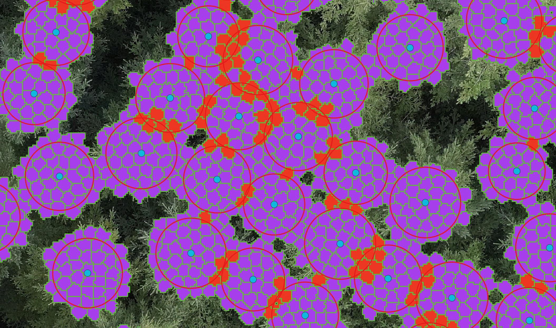 Supercells belonging to one proportional circle (purple) or two proportional circles (red). Those belonging to two proportional circles are highlighted in red and will be removed in the next step.